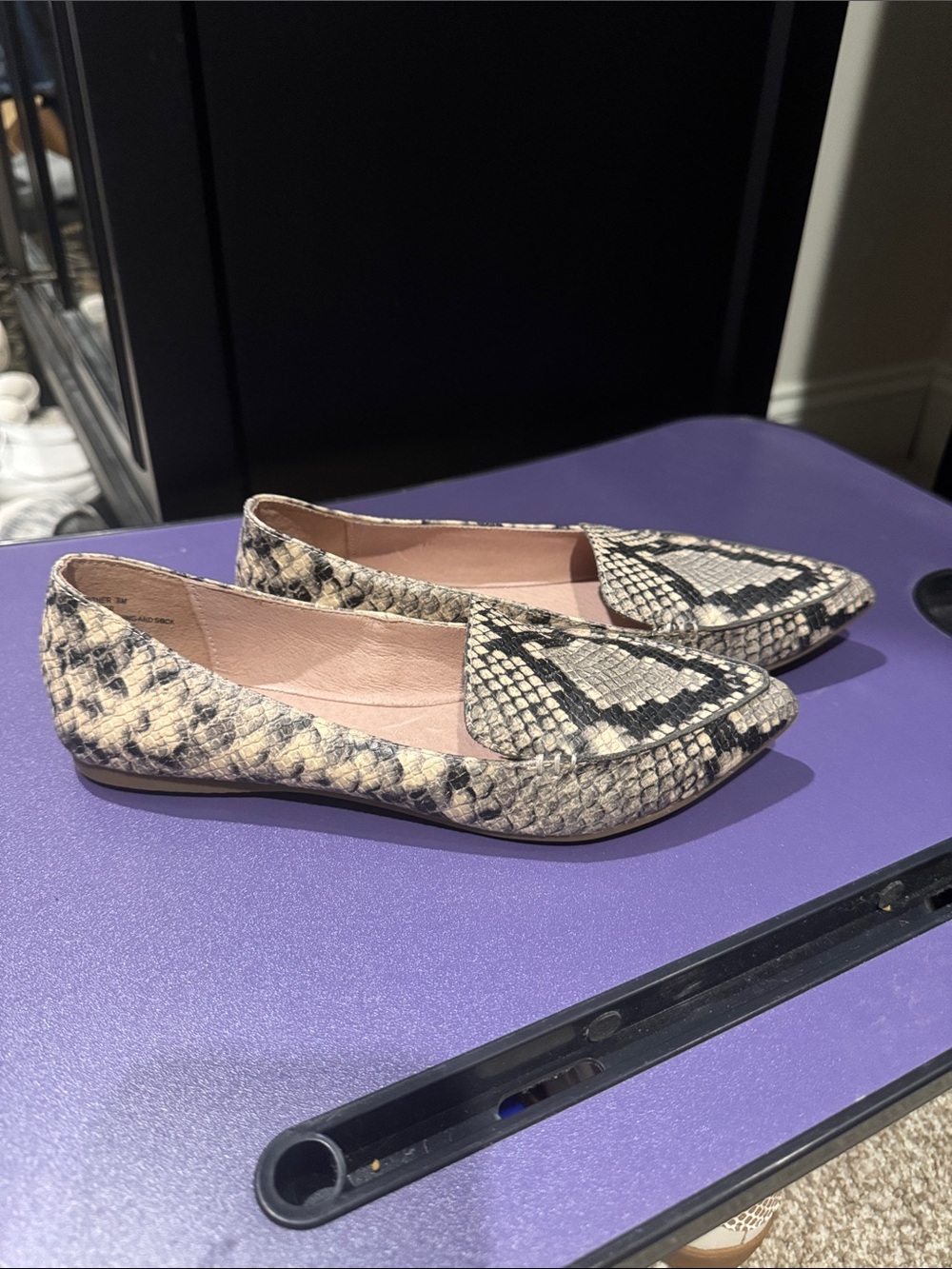 Steve Madden Snake-Print Pointed Toe Flats in Beige and Black